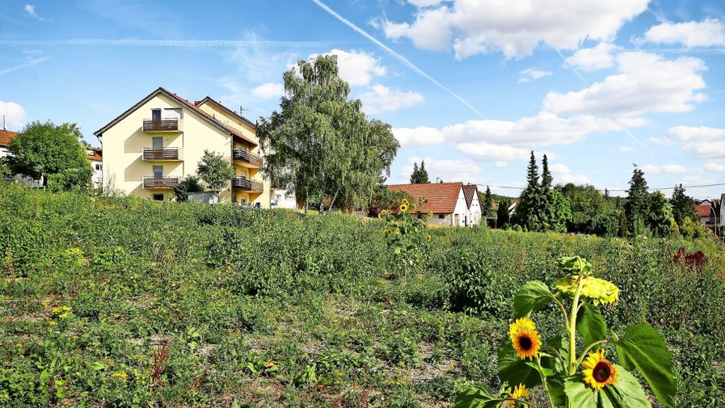Areal im Korntal-Münchinger Stadtteil Kallenberg: Rühle-Gelände macht Bürger „unruhig“