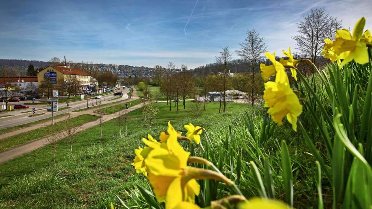 Gewerbegebiet in Wernau: Es wird wohl alles etwas „luftiger“