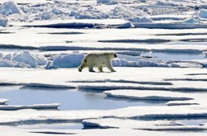 Behörden rufen am Nordpolarmeer Notstand aus