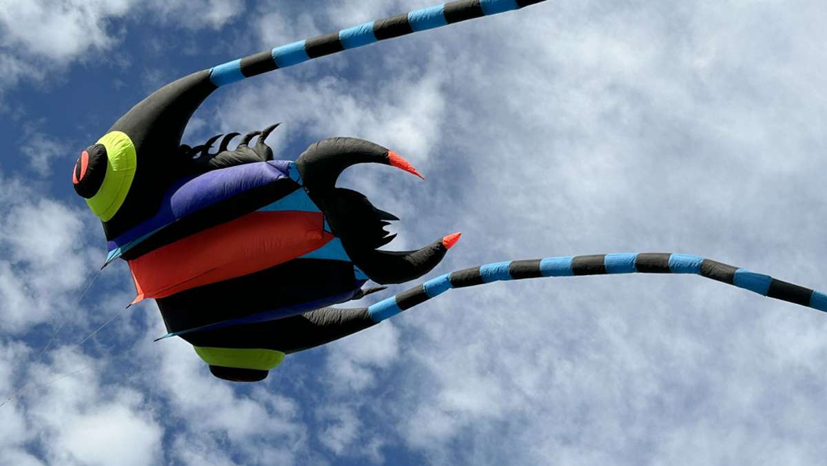 15. Drachenfest im Scharnhauser Park: Drachen erobern den Himmel über Ostfildern