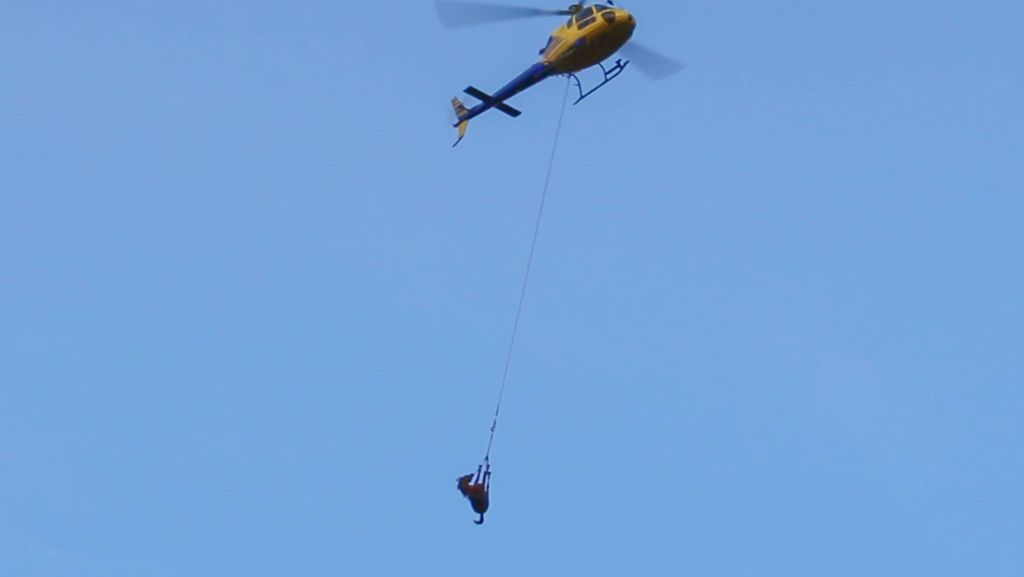 Feuerwehreinsatz in Stuttgart-Hedelfingen: Totes Pferd mit Hilfe eines Hubschraubers geborgen