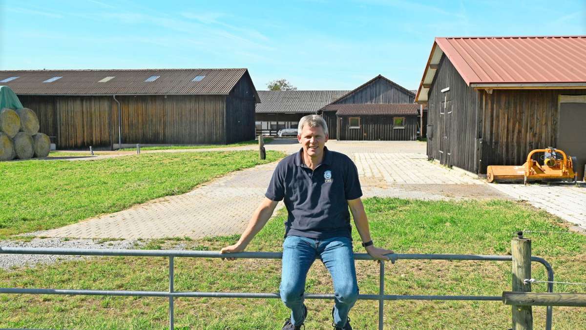 Tierhaltung in Oberstenfeld: Kleiner Lichtblick für Bio-Hühnerhof auf Burg Lichtenberg