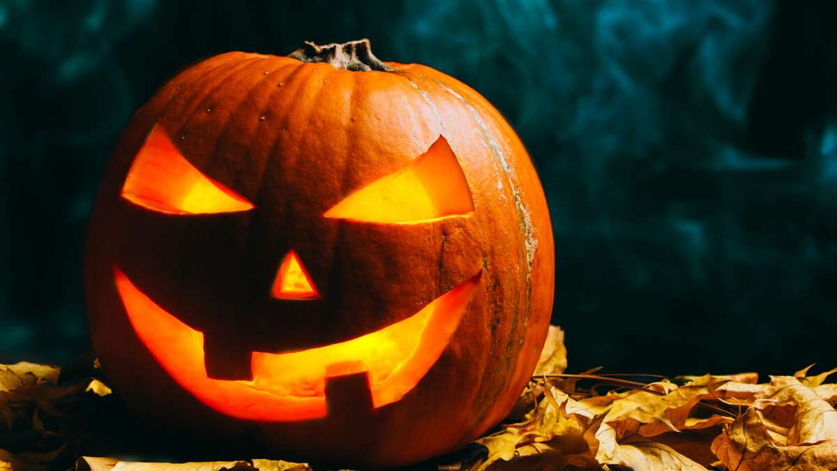 In diesem Artikel erfahren Sie, was an Halloween für Kinder und Erwachsene erlaubt ist und was verboten.