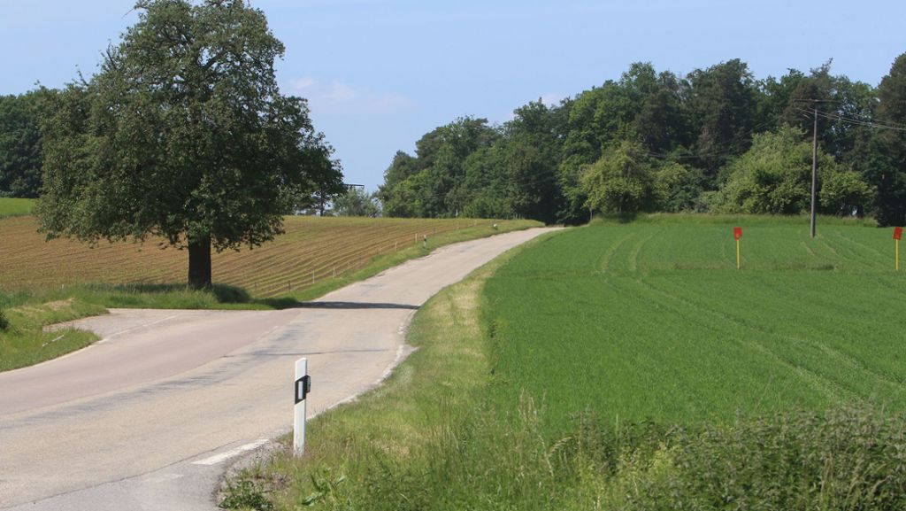 Straße zwischen Flacht und Mönsheim: Die Furcht vor dem Porsche-Pendlerverkehr