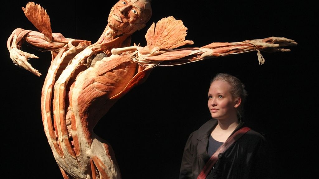 Körperwelten von Gunther von Hagens: Menschen-Museum will weitermachen