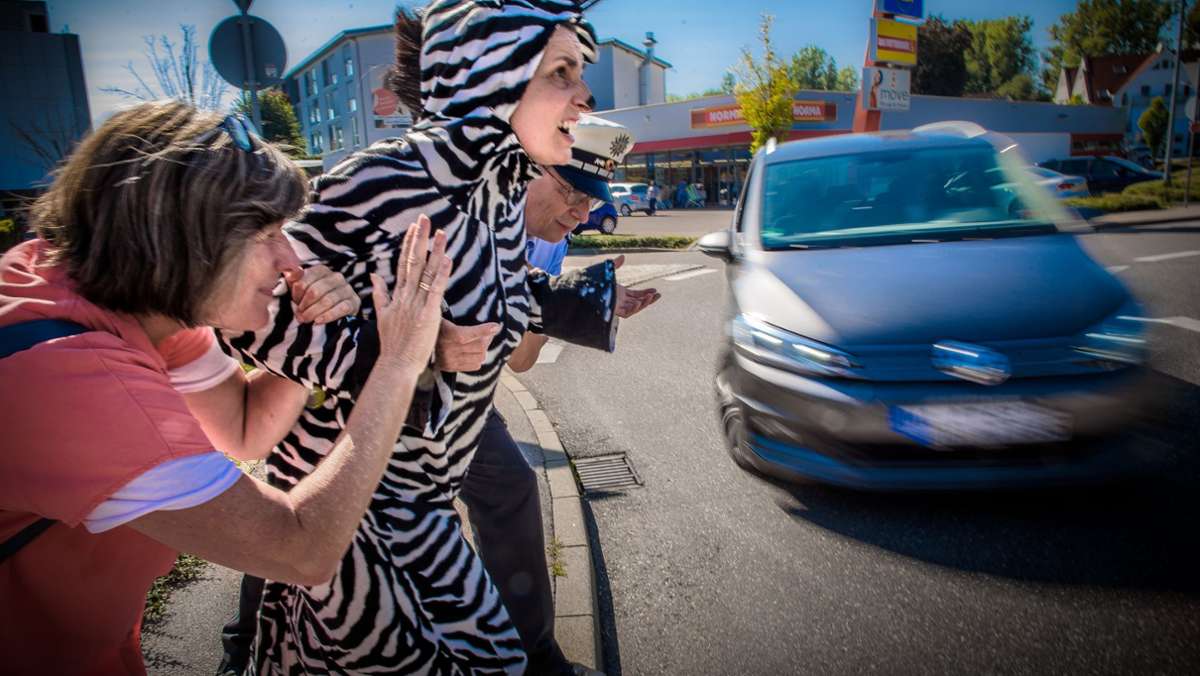 Verkehrserziehung in Corona-Zeiten: Das kleine Zebra gibt es jetzt auf Video