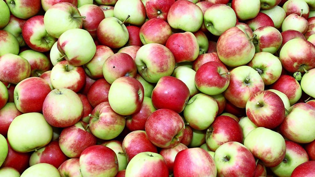 Ökologischer Fußabdruck: Umwelt: Apfel besser als Ananas?