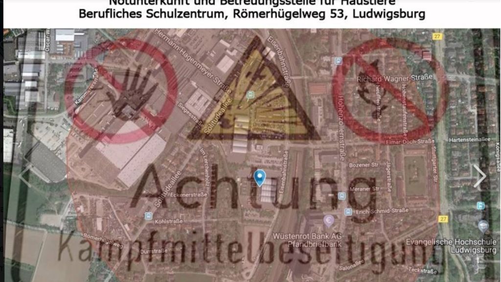Hilfe bei Bombenevakuierung in Ludwigsburg: Tierrettung betreut Hunde und Katzen