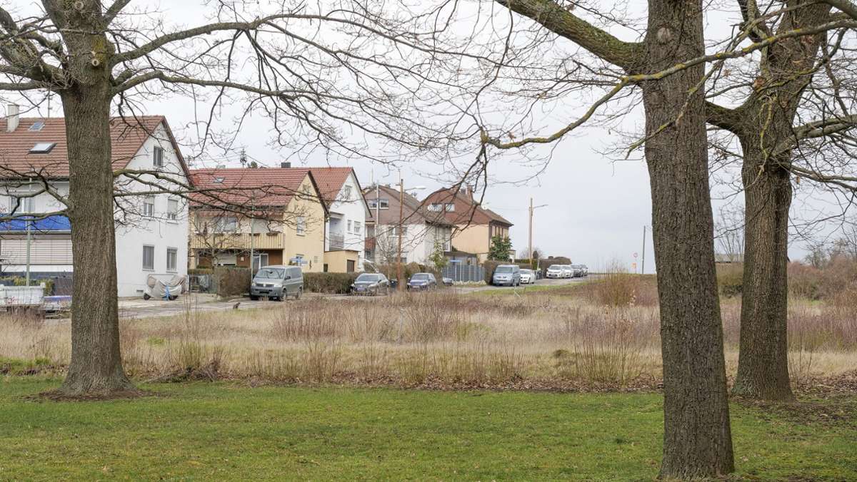 Startschuss für Baugebiet in Ditzingen: Wohnraum für etwa 500 Menschen geplant