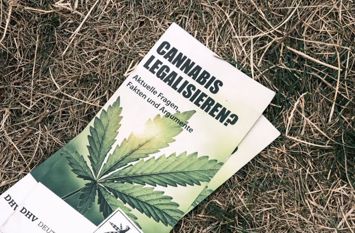 Politiker informieren sich wegen Cannabis-Legalisierung