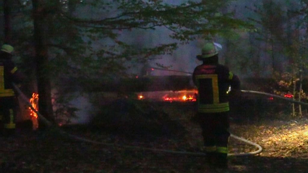 Nach Feuer am Bärenschlößle: DWD-Sprecher warnt vor Waldbrandgefahr im Raum Stuttgart
