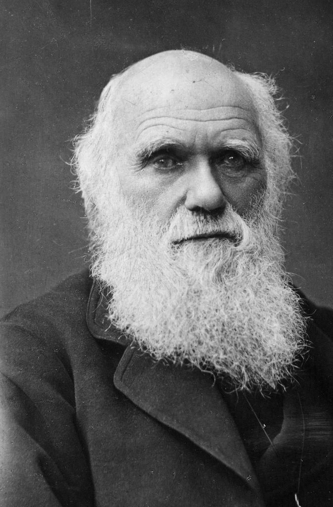 Charles Darwin zählt zu den größten Gelehrten der Menschheitsgeschichte. Ihm zufolge gehen alle Lebewesen auf gemeinsame Vorfahren zurück, die sich im Laufe von Jahrmillionen mehr und mehr veränderten – bis am Ende unzählige Lebensformen, darunter auch Affen und Menschen herauskamen.