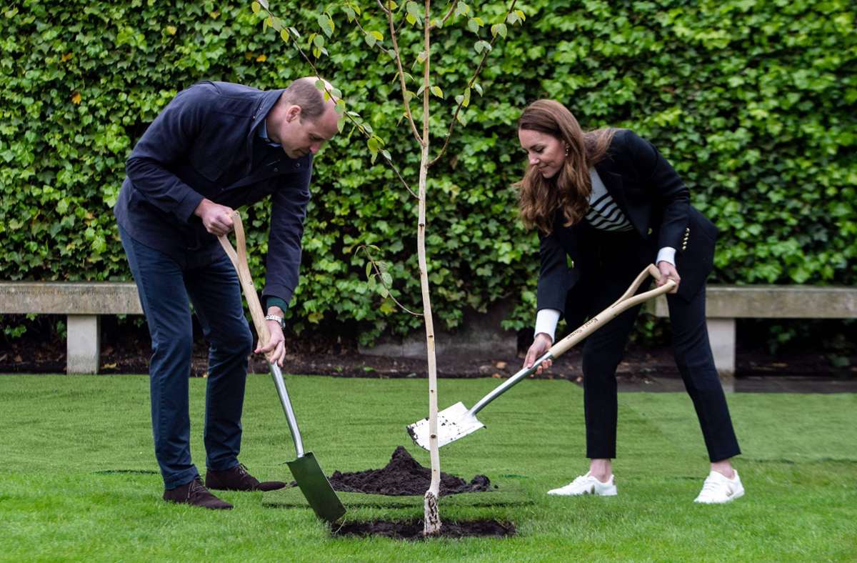 Kate und William pflanzten dort einen Baum.
