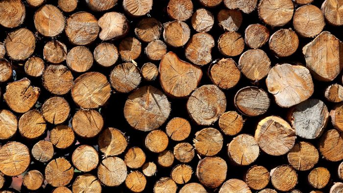 Entwurf gelangt an Öffentlichkeit: Will die Bundesregierung Heizen mit Holz einschränken?