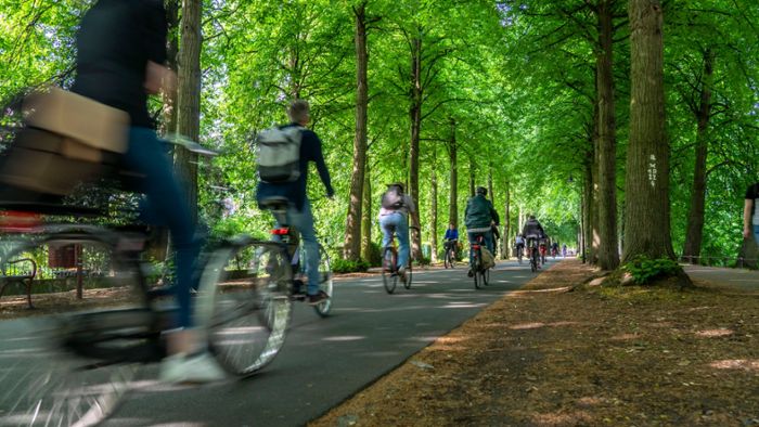 Psychologe Martin Junghöfer: Warum Radfahren glücklich machen kann