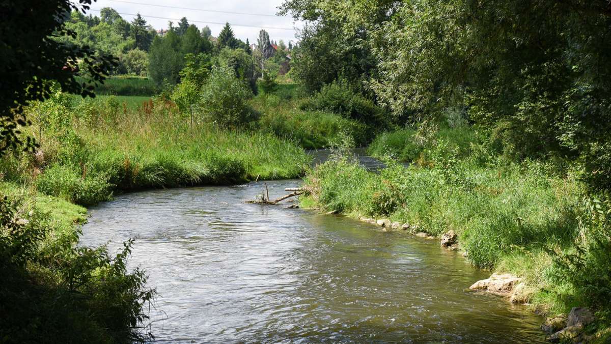 Hochwasserschutz in Weil der Stadt: Über eine Million Euro für den Brühlwiesenpark