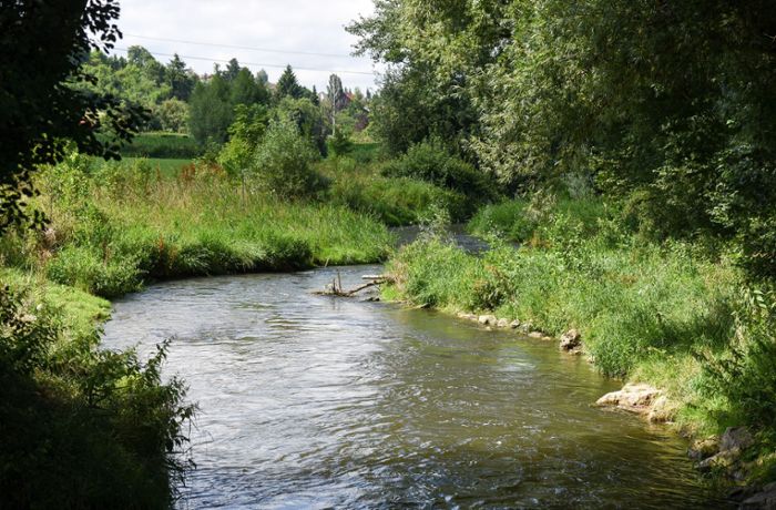 Hochwasserschutz in Weil der Stadt: Über eine Million Euro für den Brühlwiesenpark