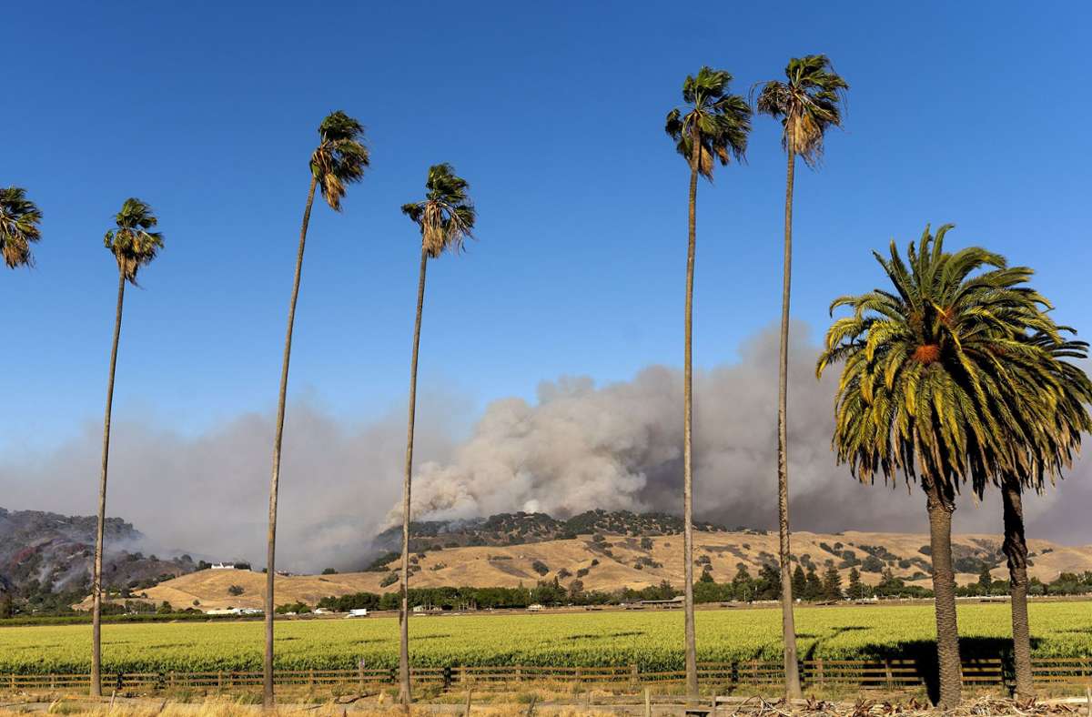 In Kalifornien etwa 40 Kilometer nördlich von Los Angeles ist ein Waldbrand ausgebrochen.