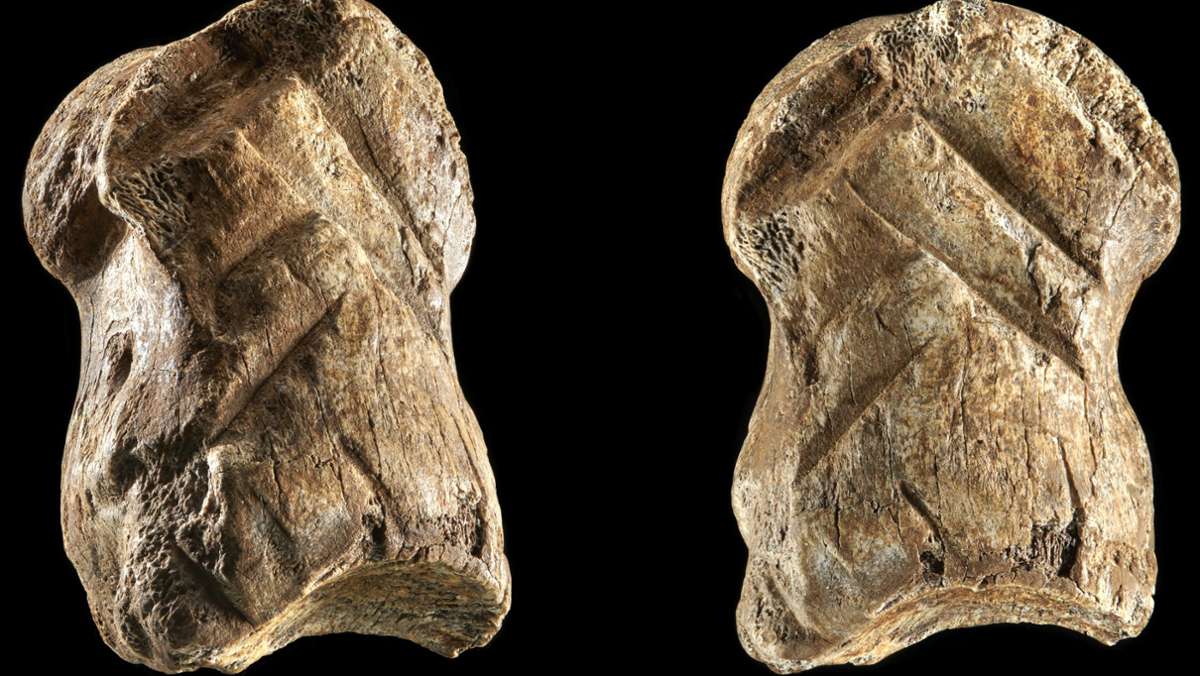  Der Neandertaler war alles andere als ein primitiver, grobschlächtiger Höhlenmensch. Neue Funde in der Einhornhöhle im Harz zeigen: Der Frühmensch war ein begabter Künstler mit ästhetischem Empfinden. 