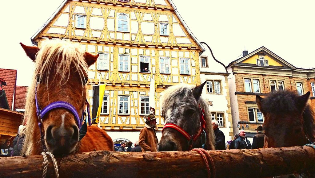 Leonberg: Pferdemarkt: Party, Ponys und Posaunen