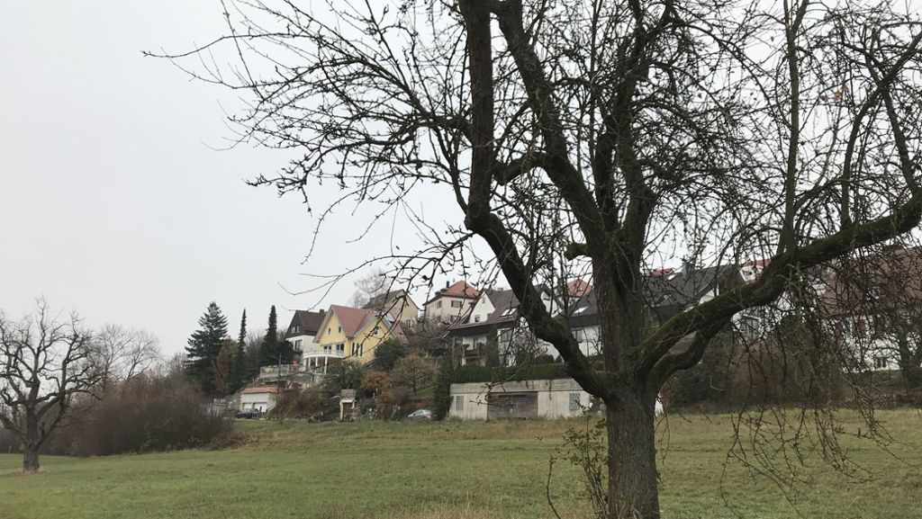 Leonberger Baupolitik: Der Konflikt Beton–Natur dominiert die Wohnraum-Debatte