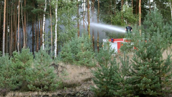Großer Waldbrand hält Einsatzkräfte in Atem