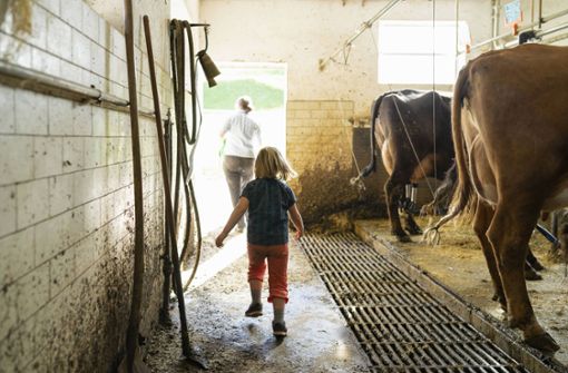 Kinder, die auf einem Bauernhof groß werden Foto: imago images / Westend61/Francesco Buttitta