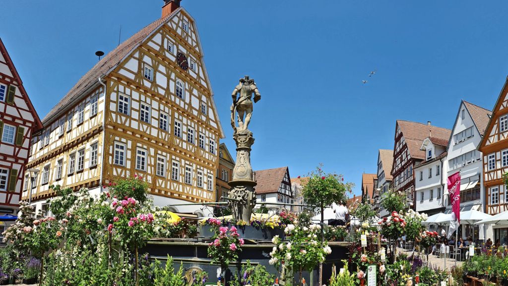 Altstadt Leonberg: Besucherandrang auf wie auch unter dem Marktplatz