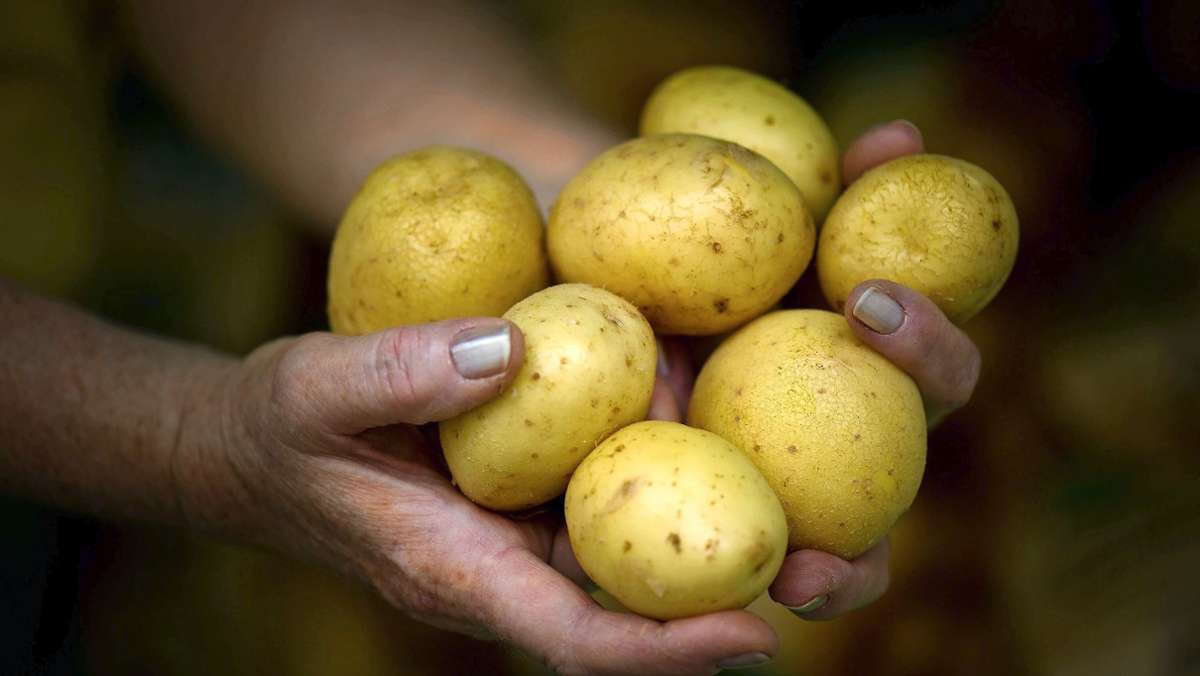 Haustürgeschäft Filderstadt: Betrugsmasche mit Pfälzer Kartoffeln?
