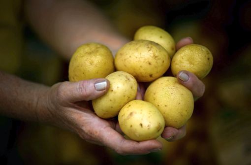 Online wird vor Wucherpreisen und zweifelhafter Qualität von an der Haustür angebotenen Kartoffeln gewarnt. Foto: dpa/Arno Burgi