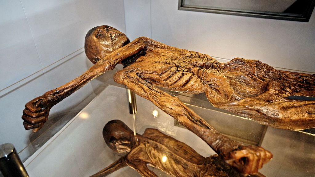 Ausstellung im Stadtmuseum: In Nürtingen muss Ötzi nicht frieren