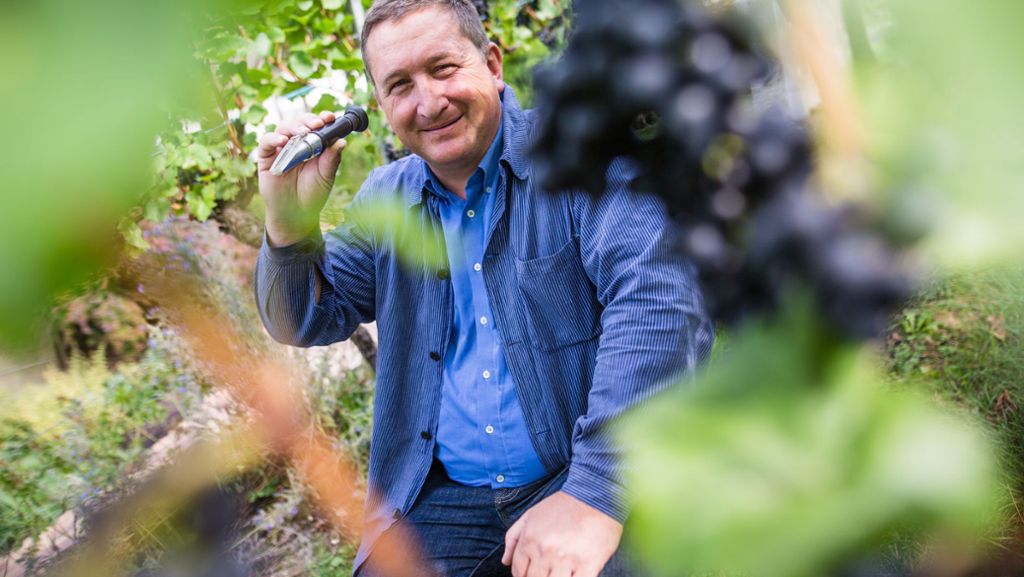 Preisverleihung  in Fellbach: Württemberger Erfolge beim Rotweinpreis