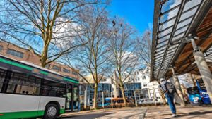 Umbau des Göppinger Busbahnhofs: Vier Platanen sollen den Bahnhofsumbau überstehen