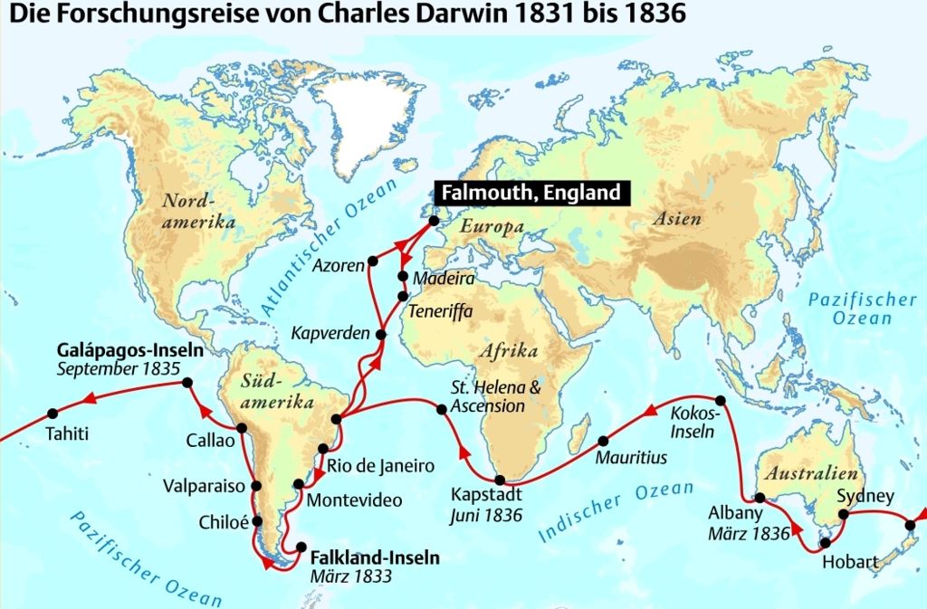 Darwins Forschungsreise mit der HMS Beagle rund um den Globus dauerte von 1831 bis 1836. Sie legte die Grundlagen für seine späteren Forschungsergebnisse.