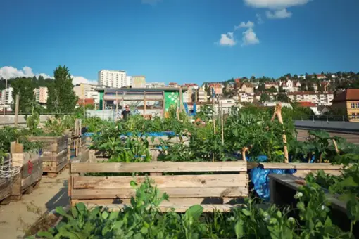Die schönsten Urban-Gardening-Spots im Kessel Züblin Parkhaus