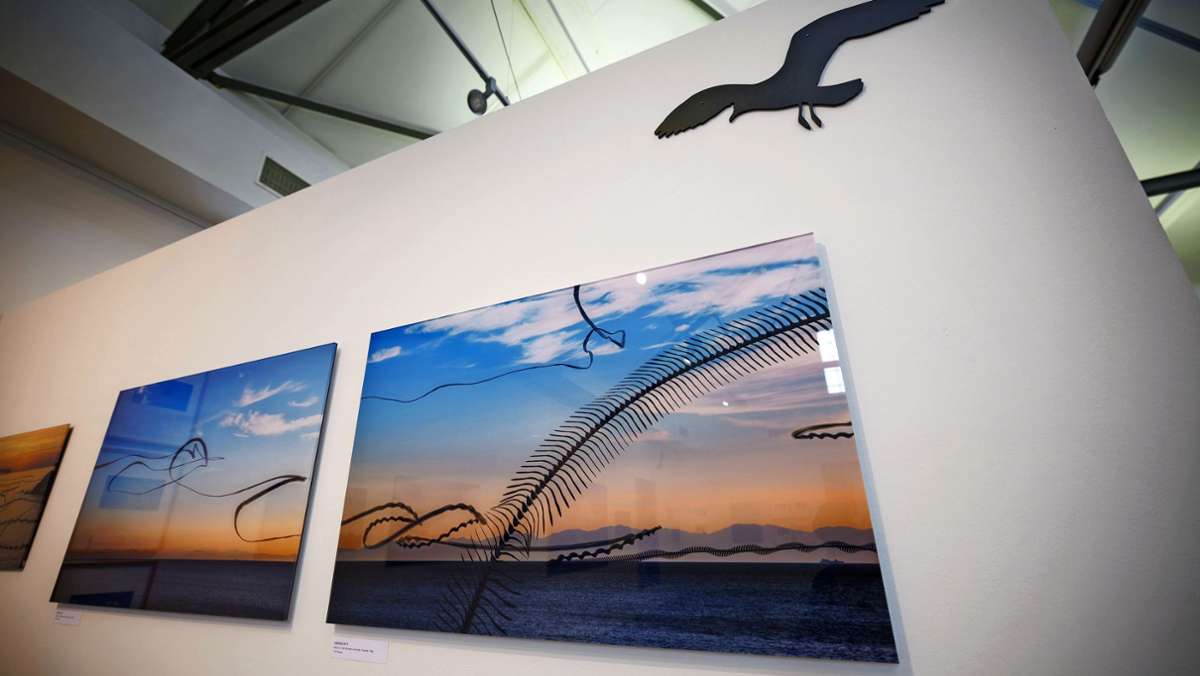 Ausstellungen in Schorndorf: Fotokunst am Himmel und aus dem Keller