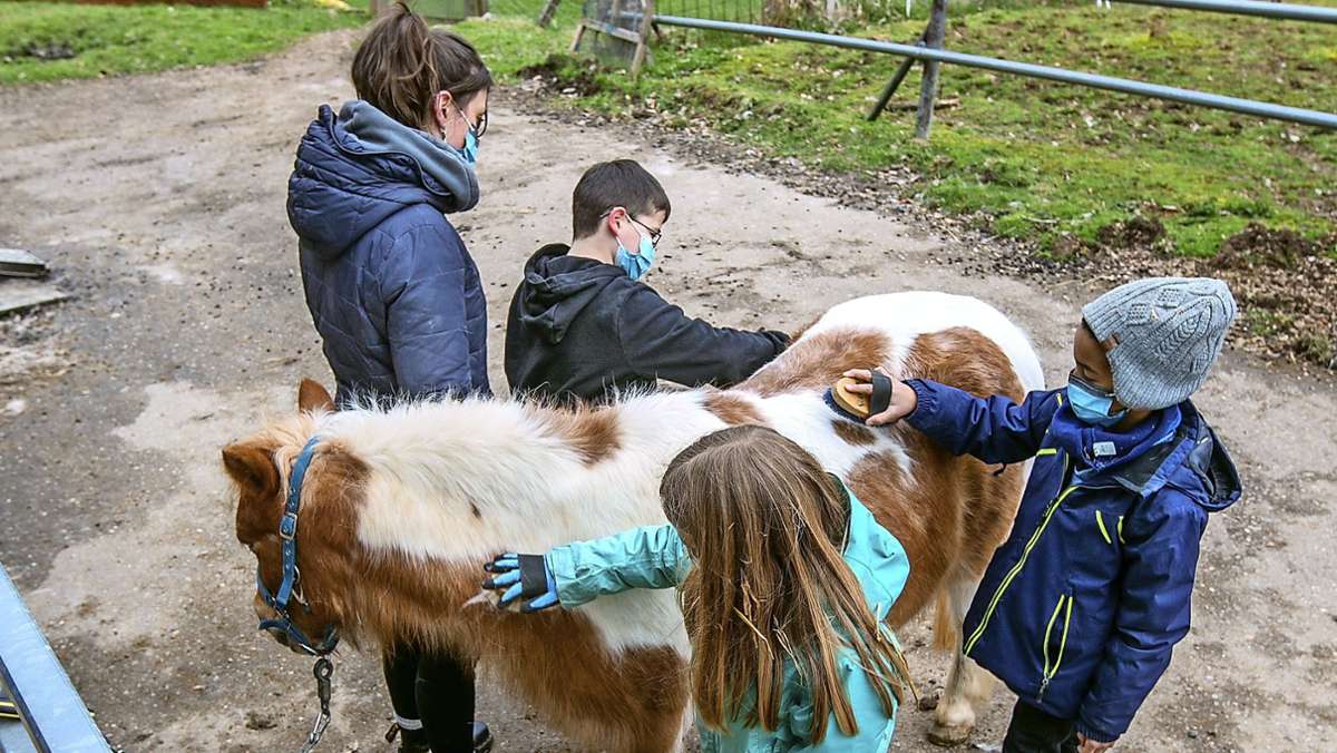 Aktiv- und Abenteuerspielplatz auf dem Zollberg: Wie die Jugendfarm Esslingen den Lockdown nutzt