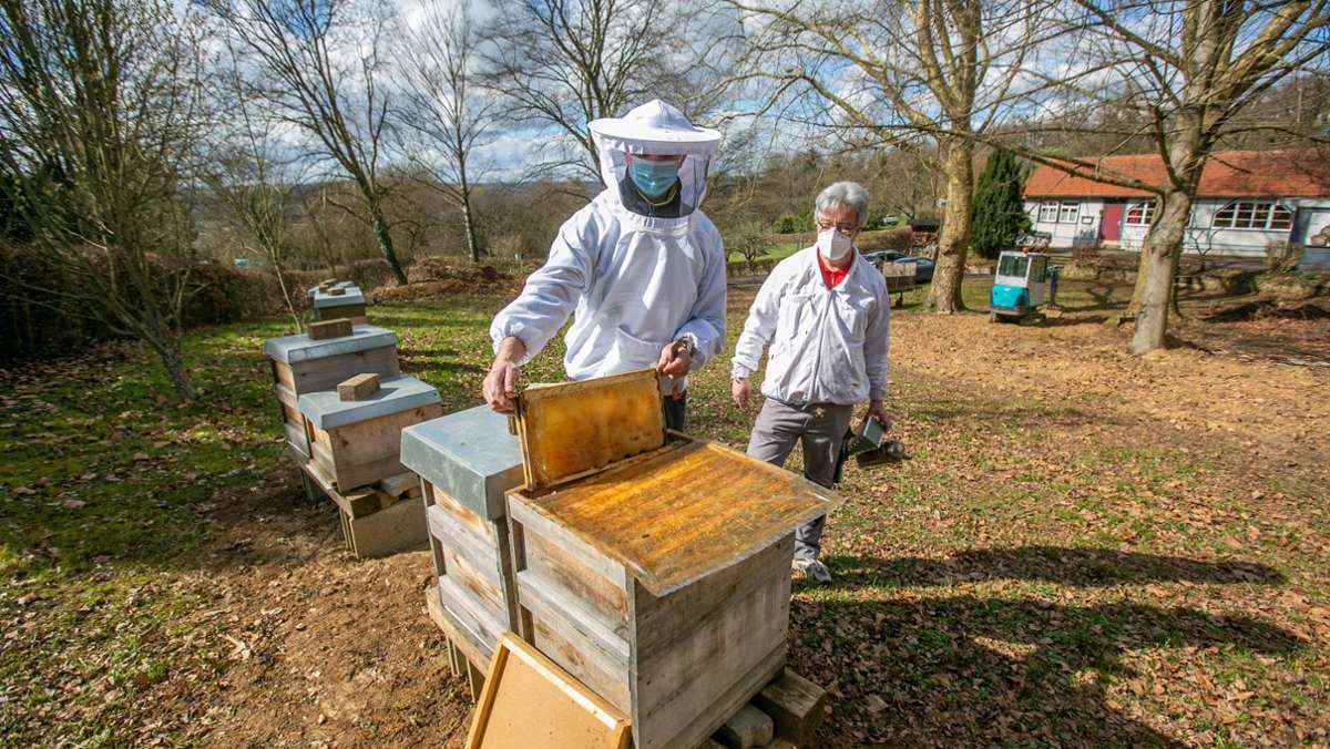  Wer Bienen im eigenen Garten halten möchte, muss einiges beachten. Zwei Hobbyimker aus Esslingen beantworten die wichtigsten Fragen zur Bienenhaltung und Honigproduktion im eigenen Garten. 