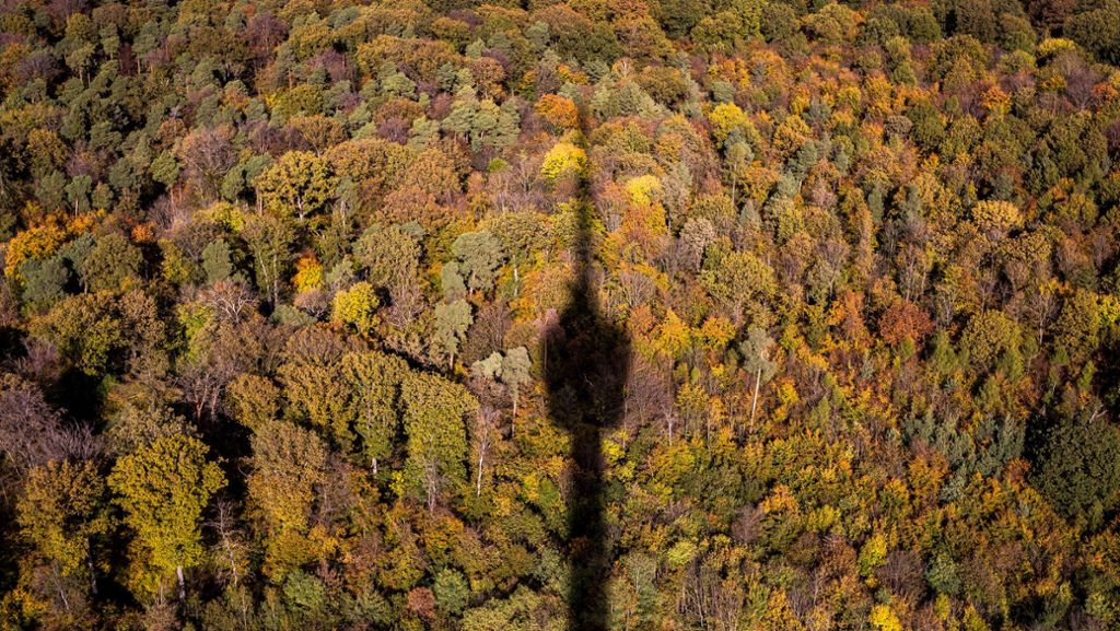 Wetter in Stuttgart und Region: Der Herbst zeigt sich von seiner schönen Seite