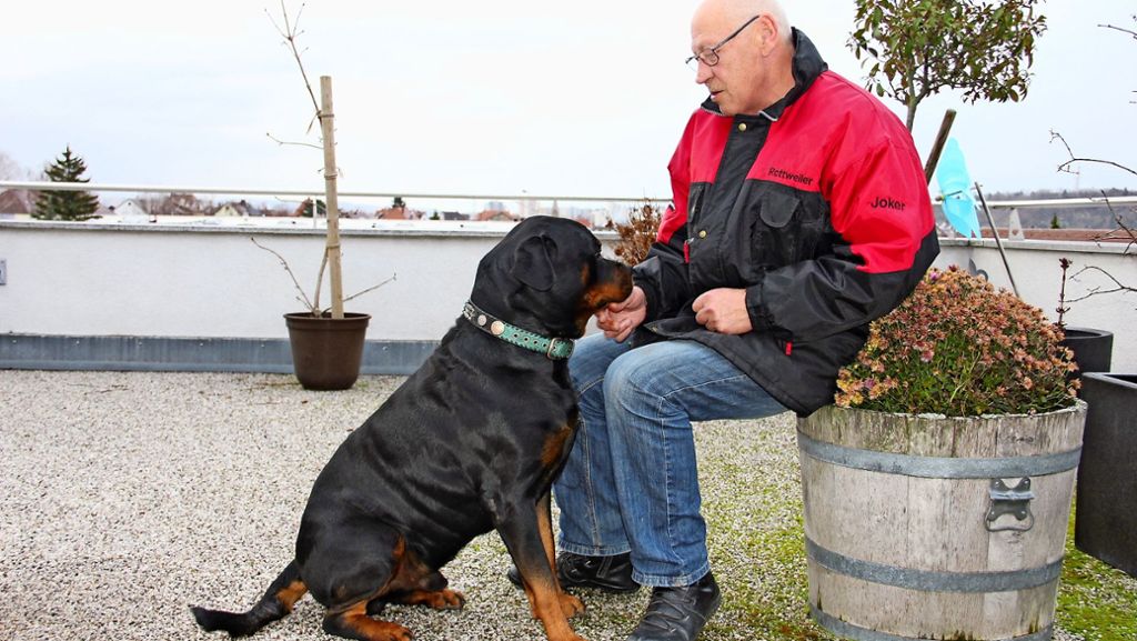 Verein der Hundefreunde Zuffenhausen: Wie das Herrchen, so der Hund