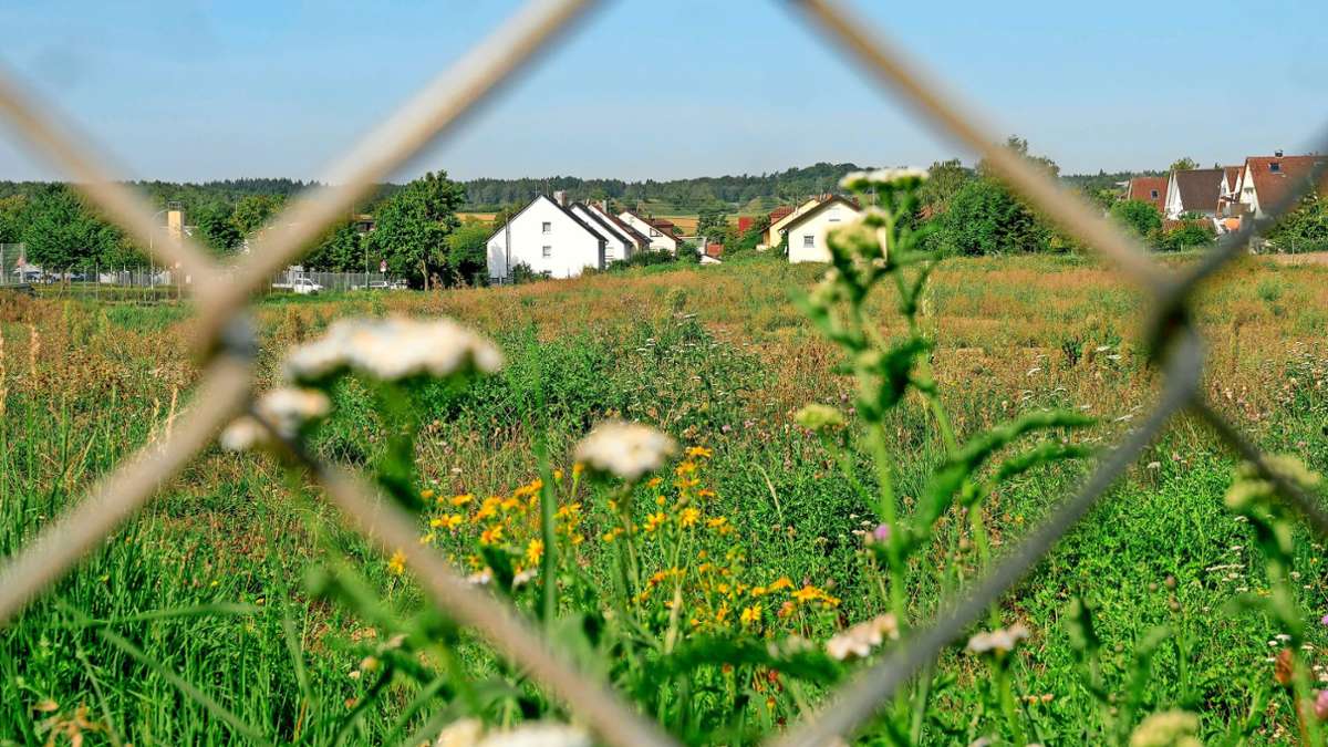 Rutesheim will mehr: Die Stadt ist steinreich und wasserarm – das sollte sich ändern