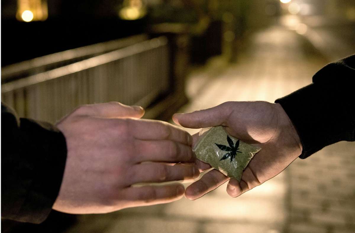 Die Drogendealer sollen mit insgesamt 330 Kilogramm Marihuana gehandelt haben. Foto: dpa/Ingo Wagner