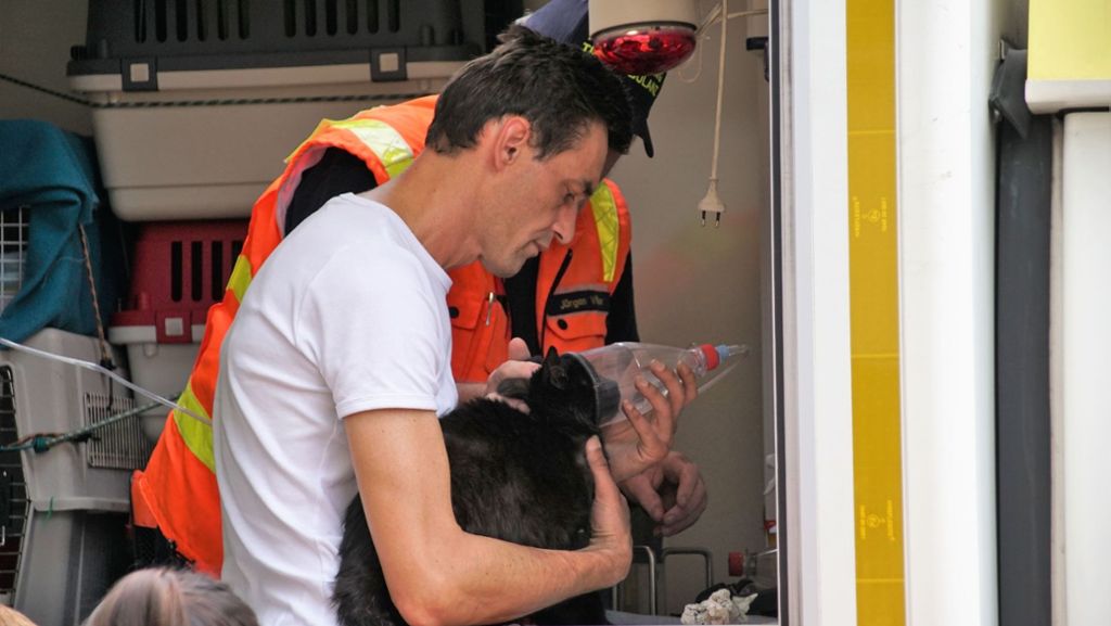Tierrettung in Stuttgart: Die Feuerwehr rettet auch Katzen aus den Flammen