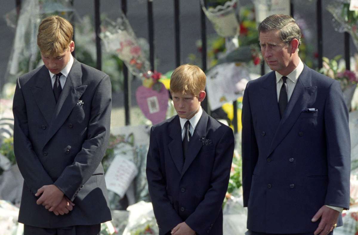 Harry ist erst zwölf Jahre alt, als seine Mutter in Paris bei einem Autounfall ums Leben kommt. 2007, bei der Gedenkfeier zehn Jahre nach ihrem Tod, sagt der mittlerweile 22-Jährige: „Sie war einfach die beste Mutter in der Welt. Wir vermissen sie.“