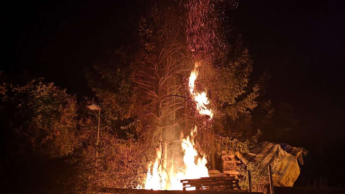 War Brandstiftung die Ursache?: Baum hinter Holzgerlinger Tennisheim brennt lichterloh