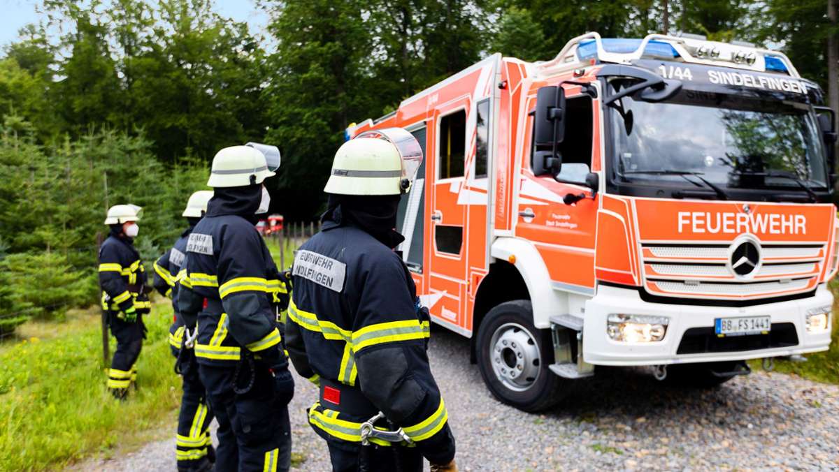 Feuerwehren haben wenig Übung: Wie Corona die Waldbrandgefahr erhöht