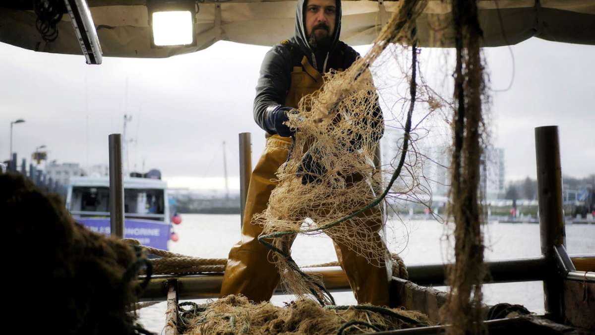 Brexit und der Streit um die Fische: Fangquoten für die Nordsee stehen  vorläufig