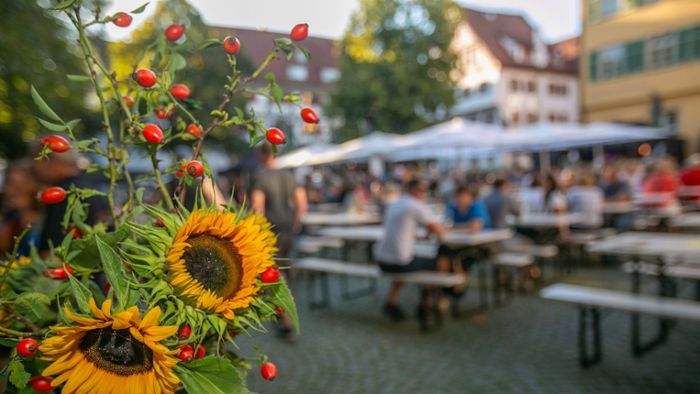 Genusstage in Esslingen: Zahlreiche Veranstaltungen rund um das Thema Wein