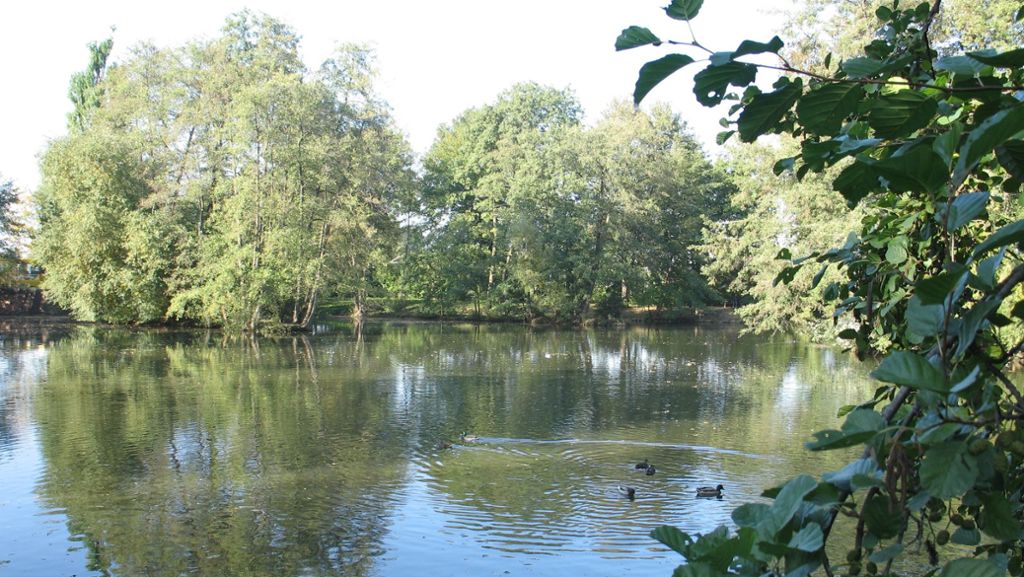 Seen in Stuttgart-Möhringen: Zwischen Gartenamt und Anglern gärt es