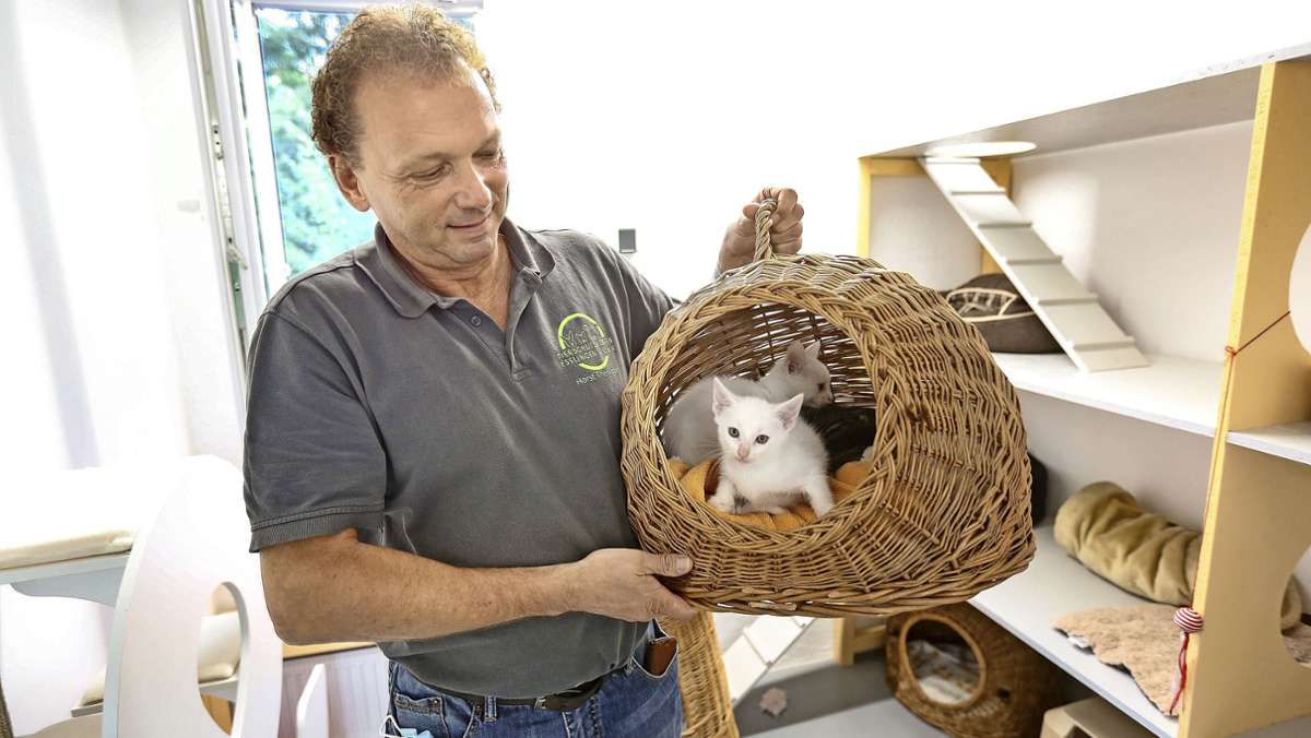  Das Tierheim Esslingen bereitet sich auf die stressige Ferienzeit vor. Viele Tierbesitzer bringen die Mitarbeitenden in Turbulenzen. 